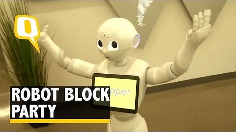 The Quint: Robot Block Party in Silicon Valley