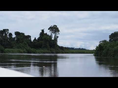 Ogooue River Gabon