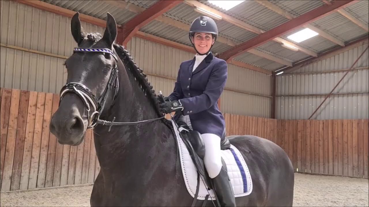 Nail polish on Friesian horse We do everything for a dressage competition. -