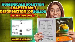 Famous Class 11 Physics Chapter 7 – Deformation of Solids  Numerical 3 Solution Step by Step Net Worth