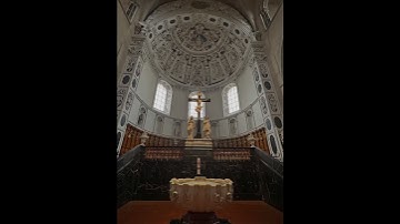 A glimpse of St Peter’s Cathedral from Trier #cover #christianinspiration #reels #travel #germany
