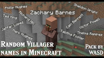 WASD Villager Names Datapack [1.14+]