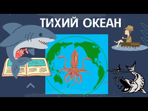 Тихий океан -  общая характеристика