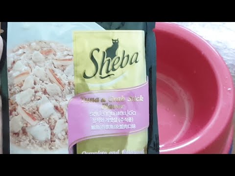 รีวิวอาหารแมว Sheba รสปลาทูน่าและปูอัด