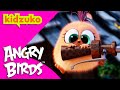 Back To School With The Hatchlings Angry Birds Compilation Kidzuko 