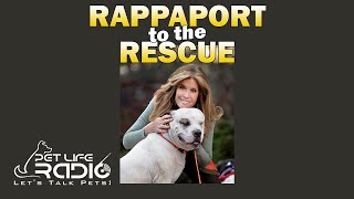 Rappaport To The Rescue - Paw 24:  Are the Covid Adopted Animals Really Being Returned In Droves?!