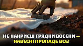 картинка: УВАГА! Якщо не зробиш це до морозів — навесні врожаю не буде!