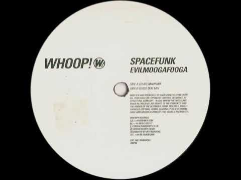 Spacefunk — Spacefunk - Evilmoogafooga (dub mix)