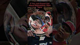 If you just found out about BigWalkDog, start here.