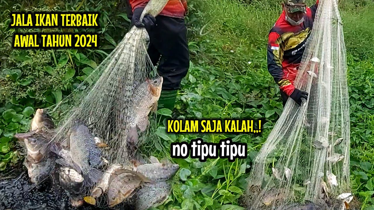 JALA TEPAT DI KAWANAN IKAN BESAR SETIAP TEBAR DAPAT BANYAK || Bast net ...