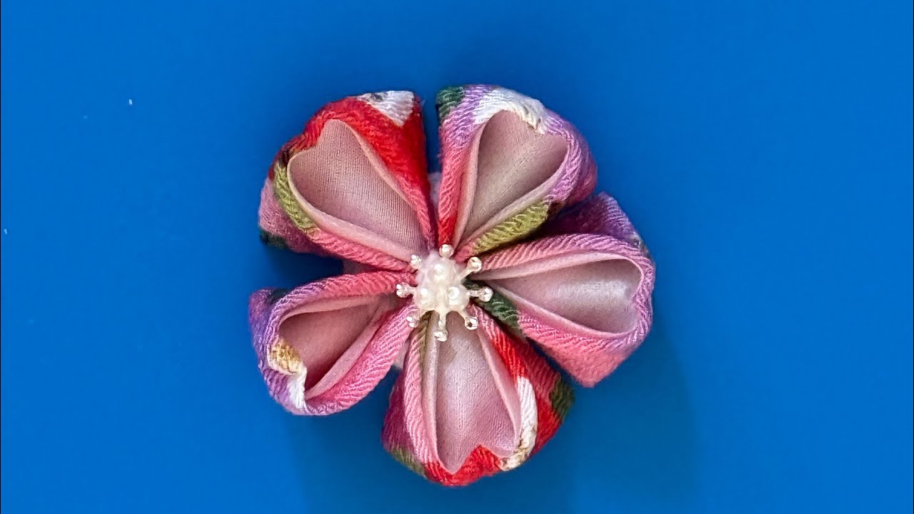 二重丸つまみの桜