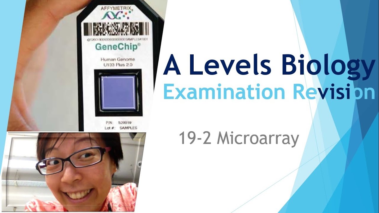 Microarrays | A Levels Biology | Key Success in Scoring A* | #19.2 ...