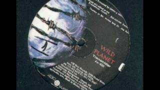 Wild Planet - Transmitter