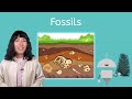 Fossils - Biology for Teens!