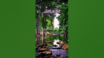 إستمتع بوقتك مع القرآن تلاوة عطره بصوت الشيخ عبد الباسط عبد الصمد رحمة الله تعالى ♥️