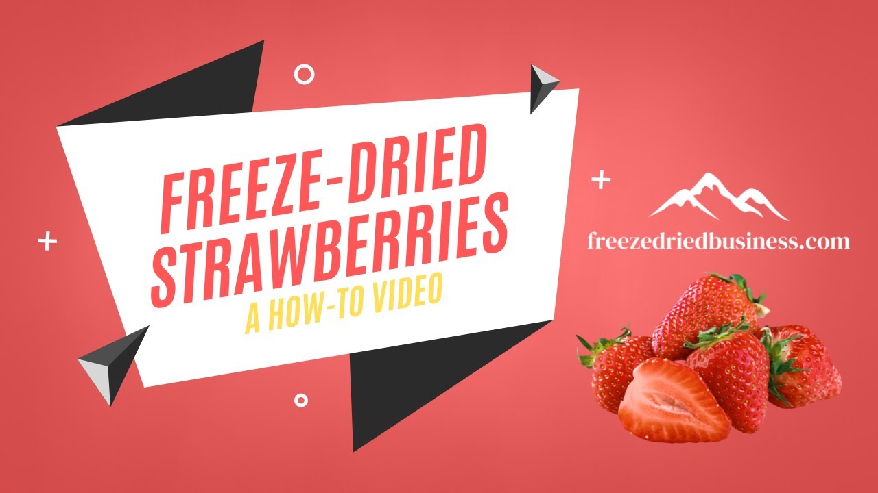freeze-dried-strawberries-how-to-freeze-dry-strawberries-for-your