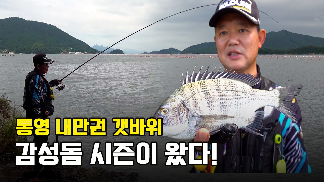 통영 내만권 갯바위를 찾아 시작된 가을철 감성돔 낚시 [선굵은낚시 ep.174]