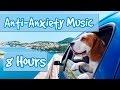 8 Hours of Music for Anxious Dogs - Music to help with Separation Anxiety and Nervous Dogs 🐶