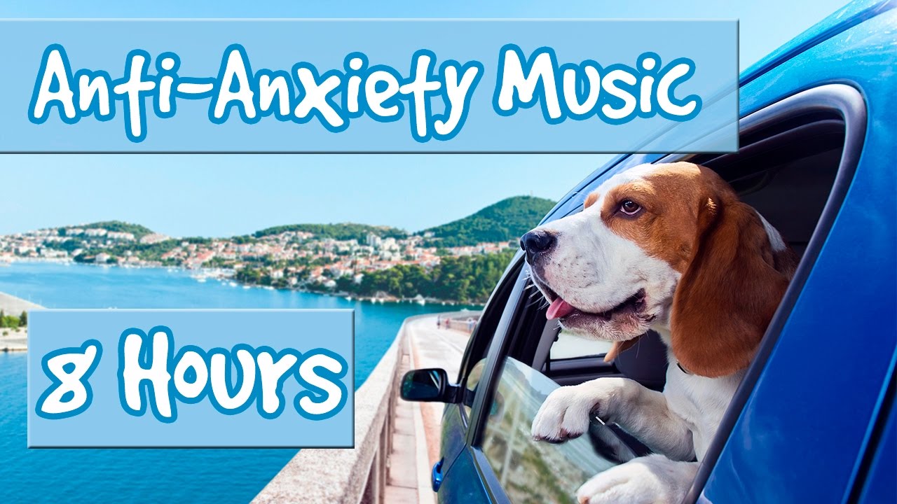 best music for dog anxiety