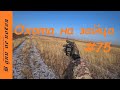 Охота на зайца. Выпуск № 75 18+