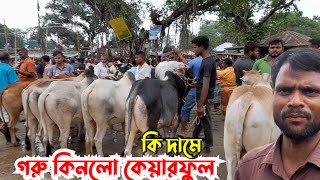 June 1, 2024 বসুনিয়াহাট || চট্রগ্রাম থেকে আসা ভাইদের জন‍্য কি দামে গরু কিনলো কেয়ারফুল