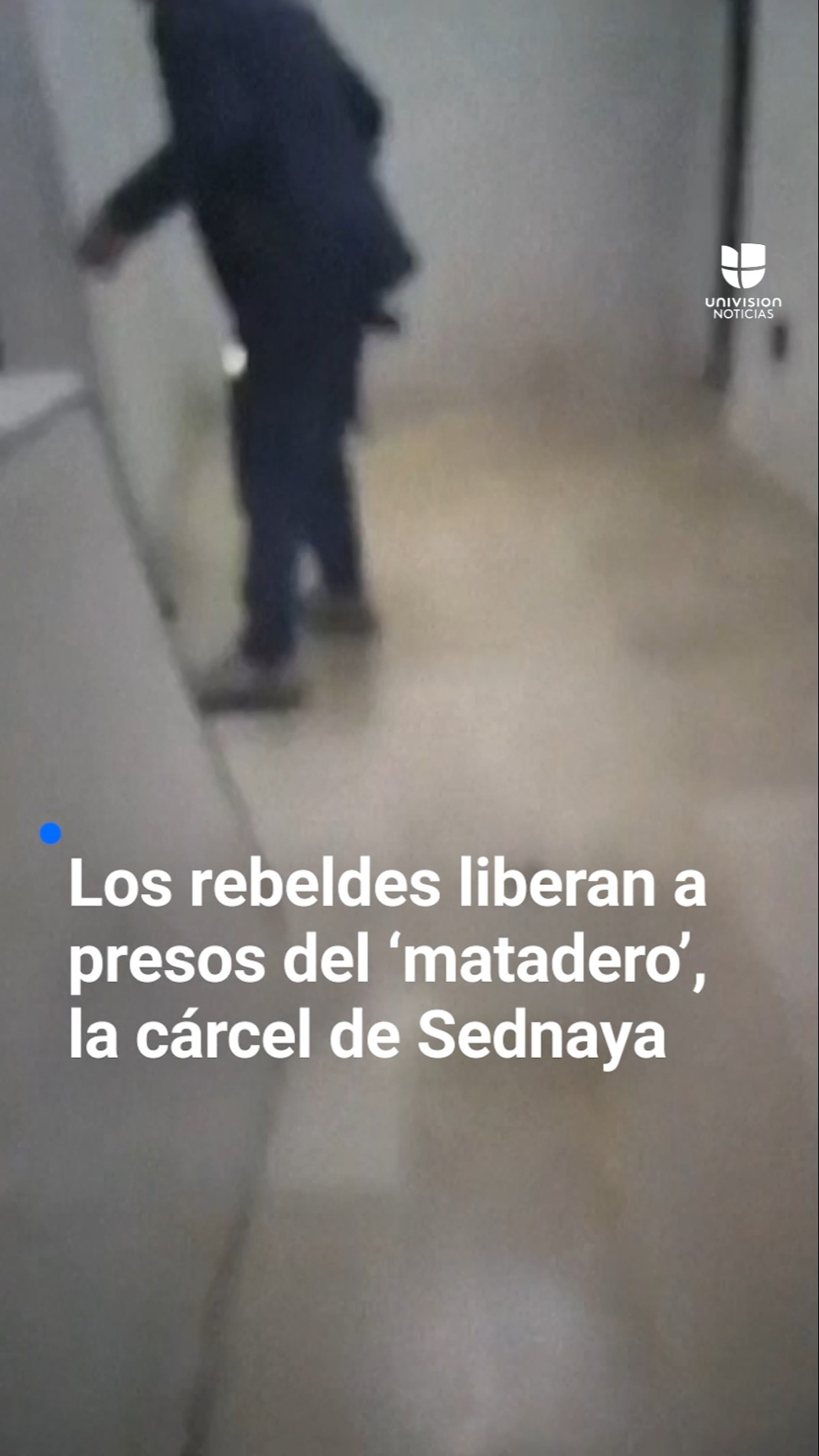 “No tengan miedo, salgan”: el rescate de miles de presos de Sednaya, la prisión ‘matadero’ en Siria