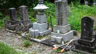 ご先祖様が眠っているところ故、毎年5月の末頃と秋に子供の都合の良い時を見て、家内の墓参りを兼ねて草取とりに出かけてくる。昔は本当の...