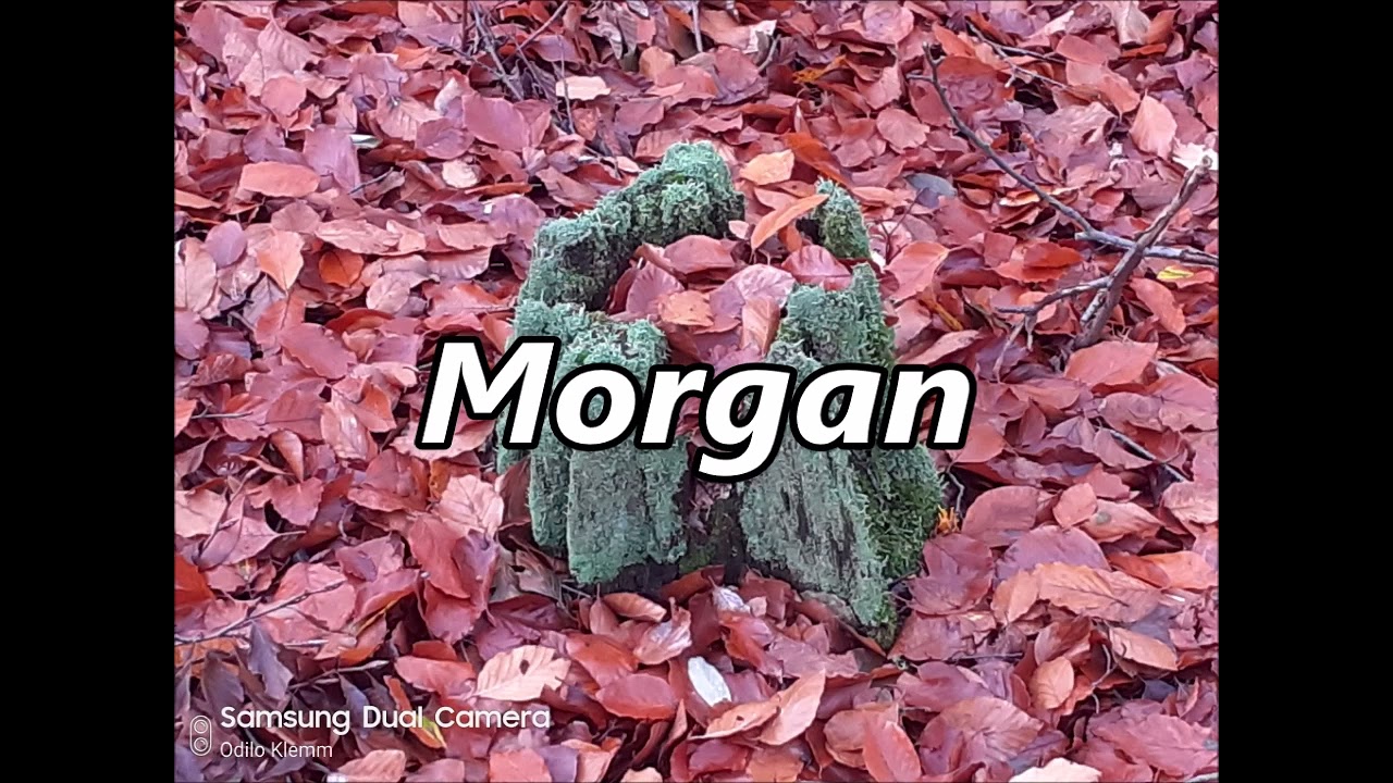 MORGAN as Family Name   Meaning and Origin