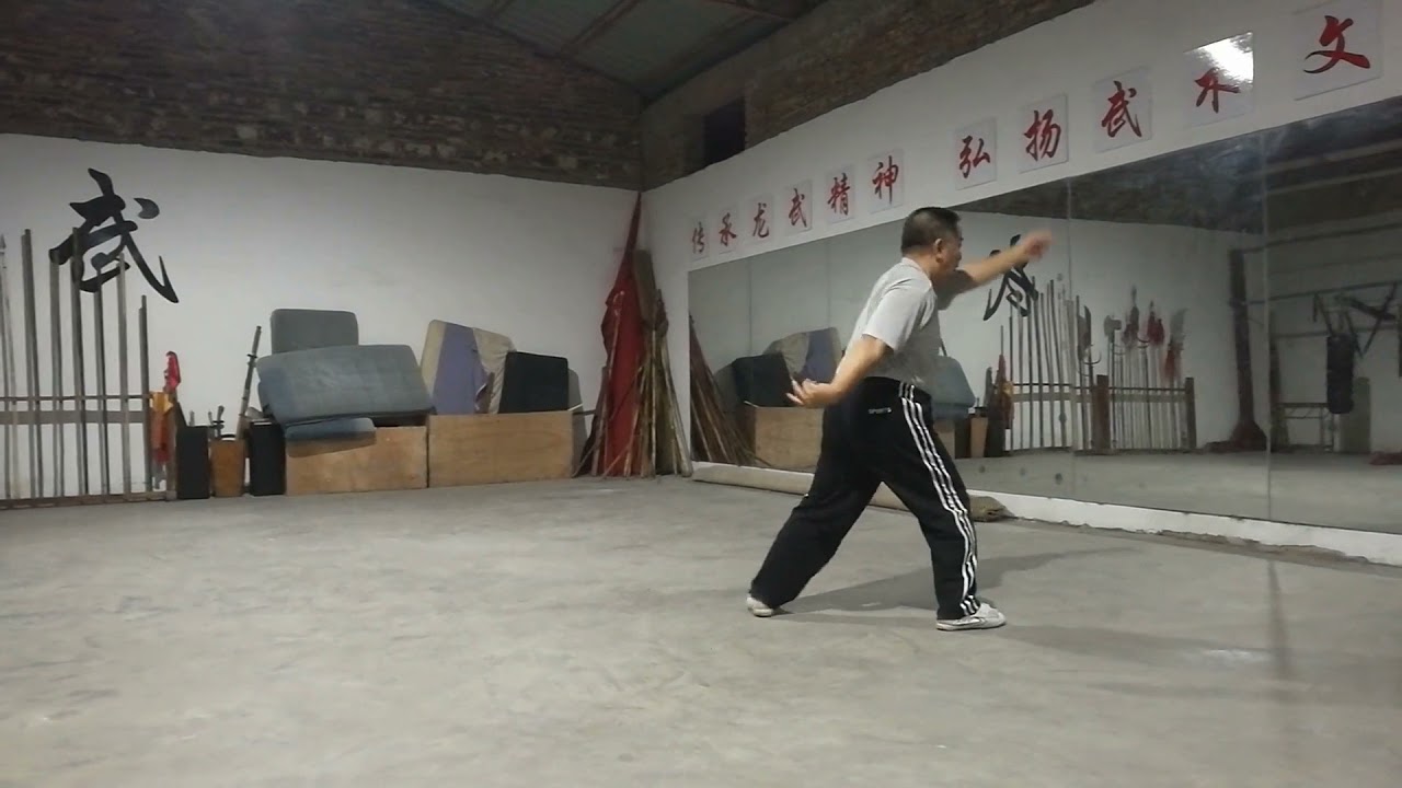 Hakka Dragon Boxing Five Animal System of Fujian