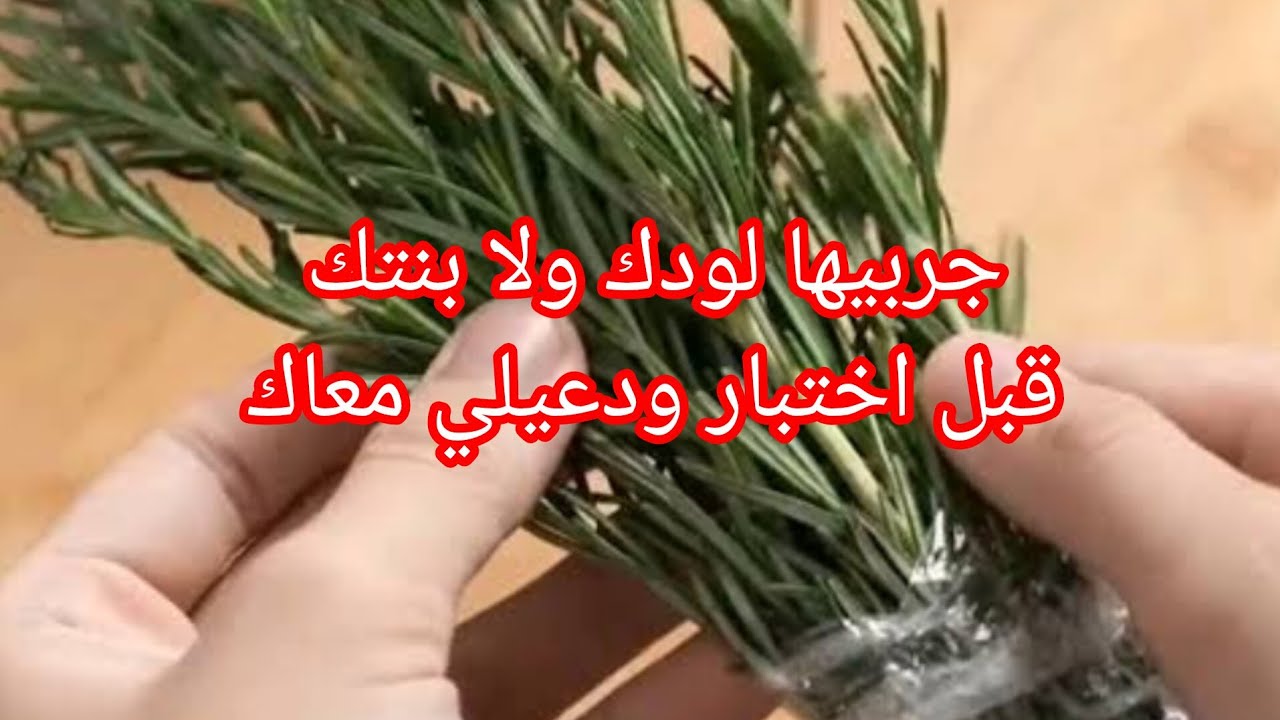 وصفة نسيان لدى اطفال في اختبارات يعطيك الصحة معلمة ولدي لي مدتهالي 