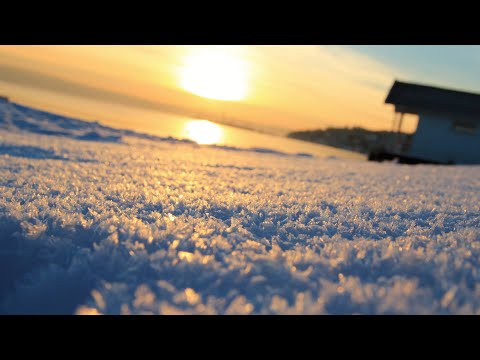 FUTURE GARAGE/WAVE MIX [JANUARY III]