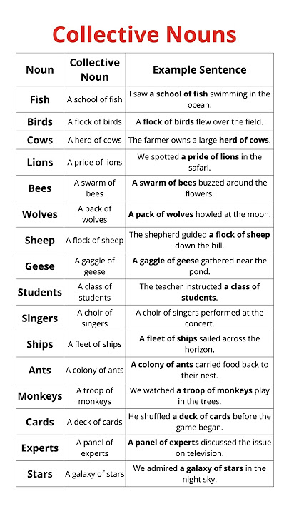 Collective Nouns, Learn Examples with Sentences | Enhance Your English Vocabulary Today!