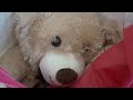Pink Shell donates 500 teddy bears to children's hospital