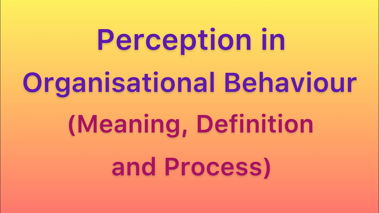 definition for organisational behaviour