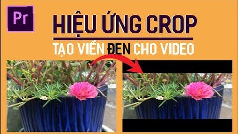 Hướng dẫn làm vid có phần đen premiere