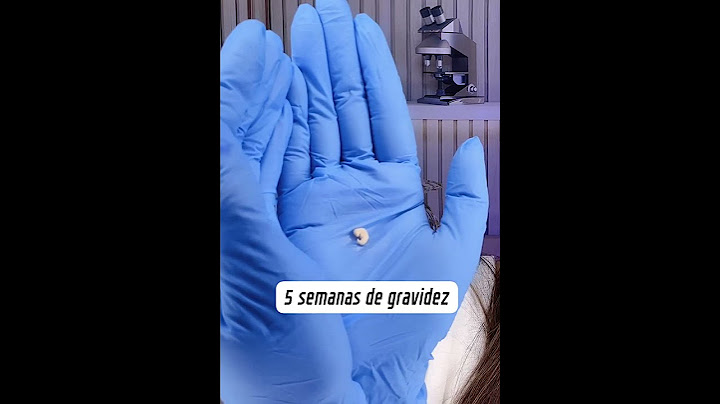 5 semanas de gravidez