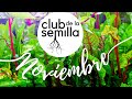 El Club de la Semilla. 🌼Variedades de Noviembre de 2022