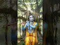 #song krishna vidio