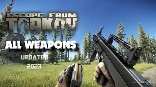 Escape From Tarkov - All Weapons Reload and Inspect Animations - 2023