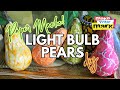 Light Bulb Pears DIY