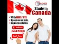 Want to study  settle in canada