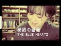 情熱の薔薇(THE BLUE HEARTS)／へなちょこ弾語り