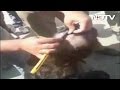 Video Of Anti-Romeo Squad Shaving Man's Head Goes Viral, 3 Cops Suspended