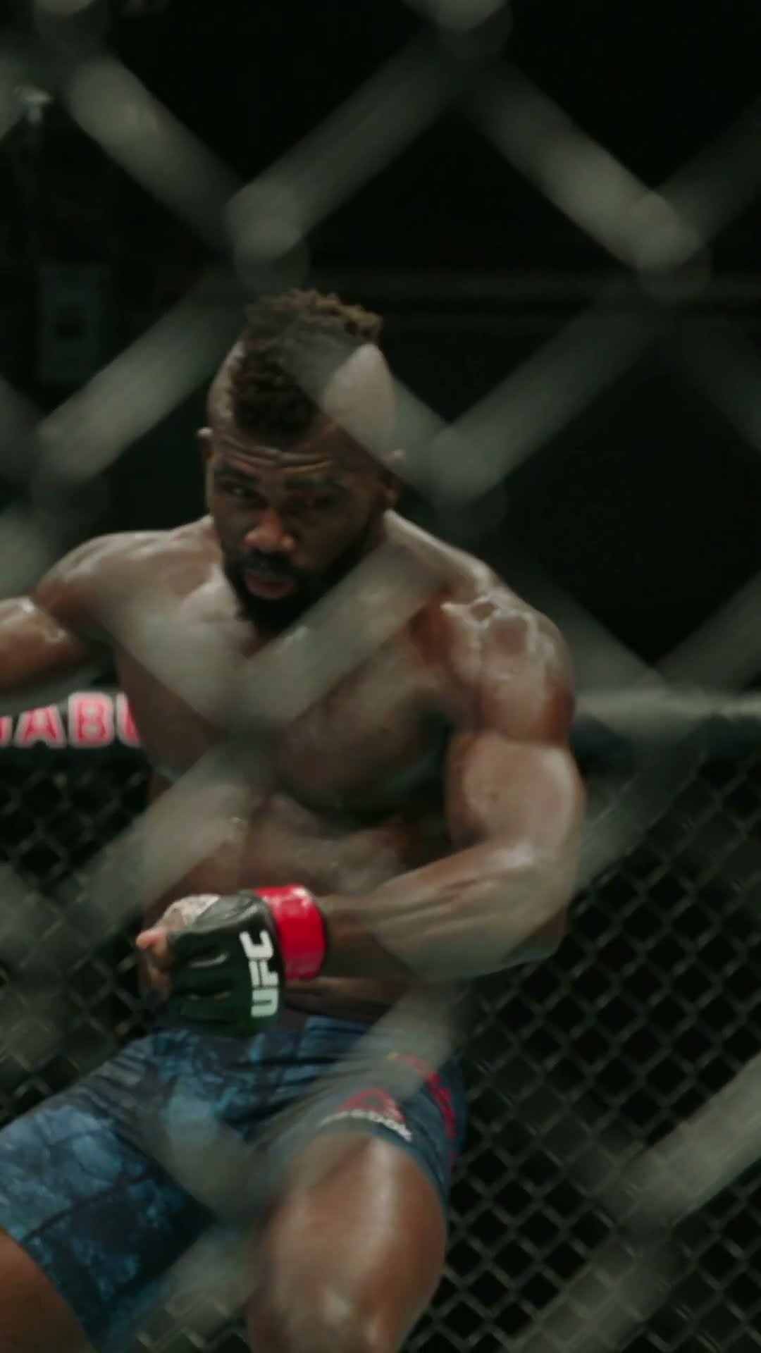 SLOW MO NINJA KICK ? #ufctampa