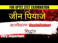 आत्मीकरण सिद्धांत |#आत्मीकरण सिद्धांत #जीन पियाजे #education #uptet #practice 