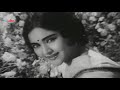 Dil beqarar sa hai   joy mukherjee vaijayanti mala ishara 1964