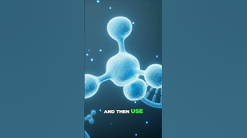 Silence Genes, Cure Diseases  Science