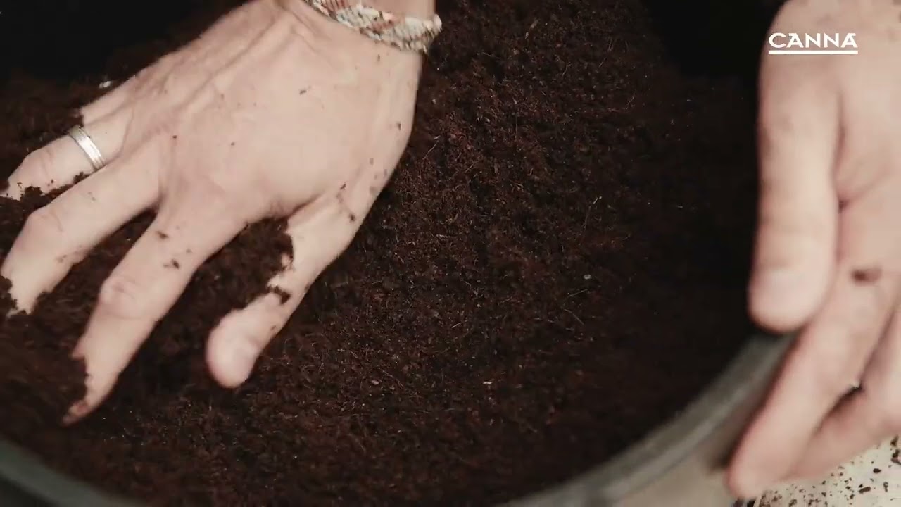 Canna Coco | Premium Coco Growing Medium – The Hydro Bros