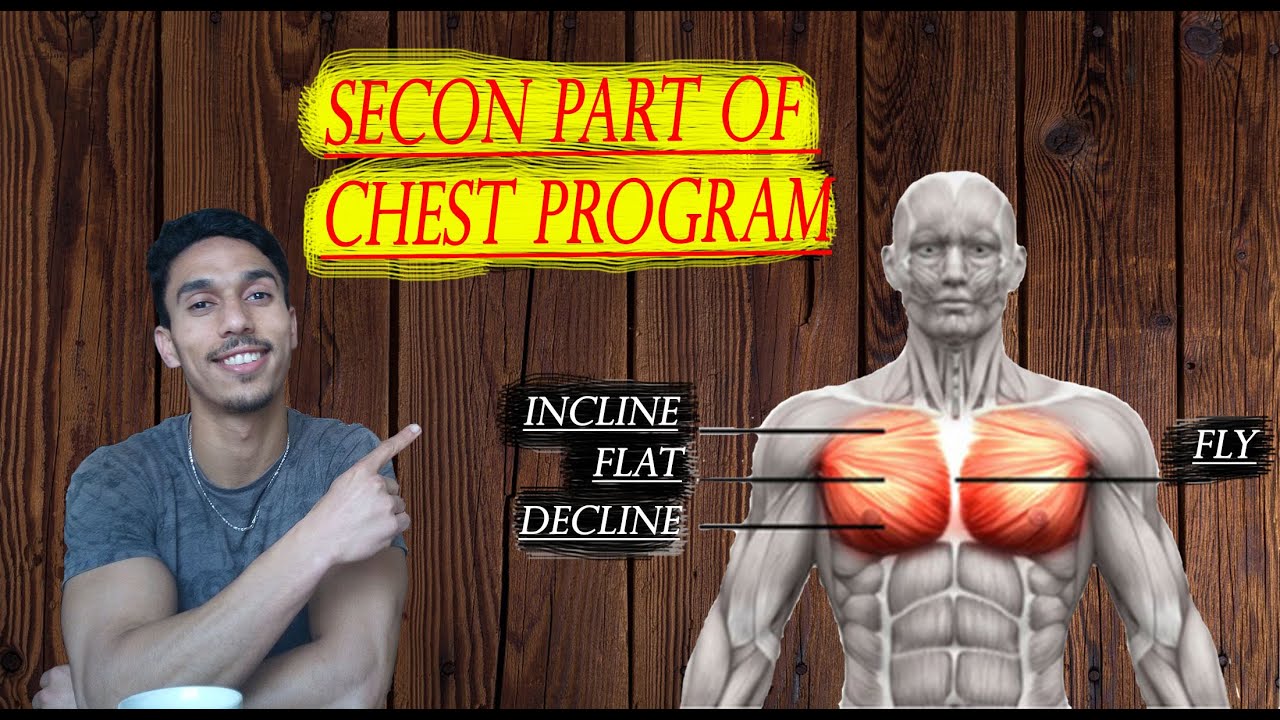 Chest Program Table ( BEST ) OF CHEST PROGRAM /// SECOND PART /// احسن برنامج تمارين الصدر ...