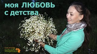 Анна Тюмерова. То, что Я Люблю с детства.